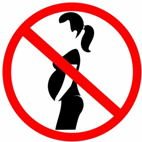 Los datos más importantes del Humanismo Exótico