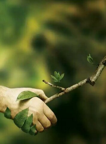 Ministerio del Medio Ambiente