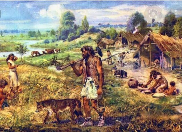 revolucao agricola/ neolitica