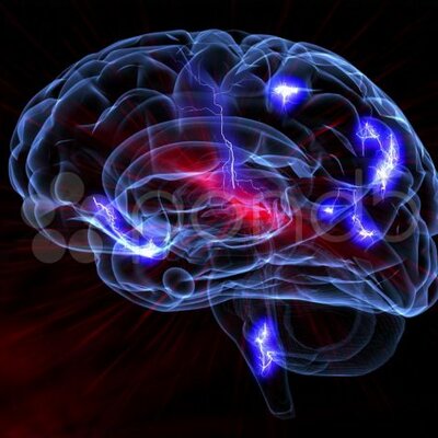 Timeline: Historia de la Neurociencia hasta la época actual.