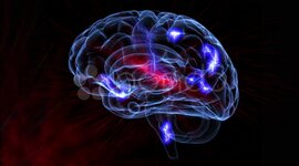 Timeline: Historia de la Neurociencia hasta la época actual.