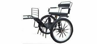 Carruaje de Dos Ruedas