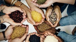 OMC : Aspectos de impacto - los subsidios a productores agrícolas