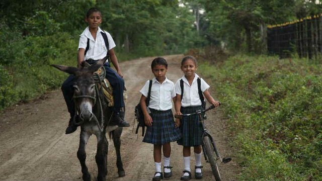 División en rural y urbana