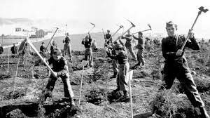 Organizações repressivas e mecanismos de controlo no Estado Novo