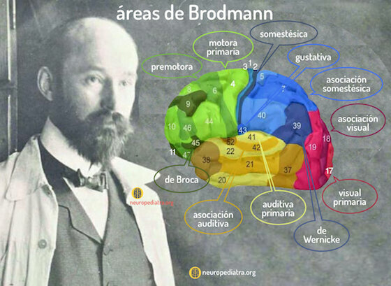 Neurociencia en Alemania.