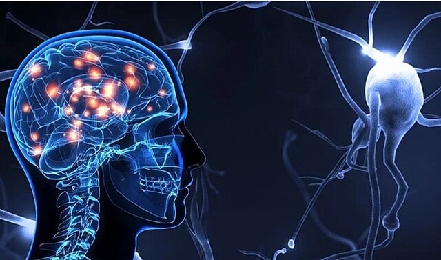 Neurociencia en el siglo XX.