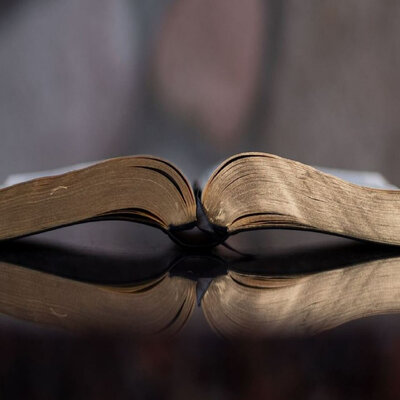 Timeline: La Constitución Colombiana de 1991 en temas ambientales