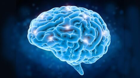 Inicio del proyecto Blue Brain.