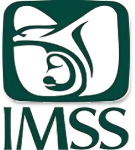 Ley del Seguro Social.