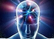 Neurociencia en la época actual.