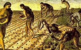 EPOCA COLONIAL REPARTO DE TIERRAS Y TIPOS DE PROPIEDAD