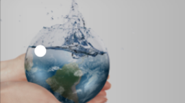 Timeline: Cronograma de Actividades Atrapaniebla