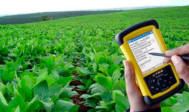 VI Censo de Población