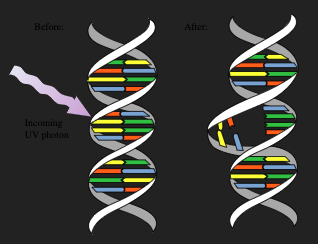Radiaciones por doquier