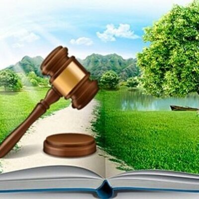 Timeline: Derecho Agrario