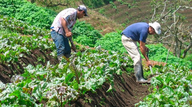 Censo Nacional Agropecuario