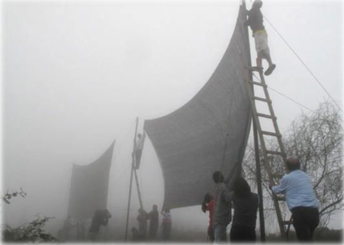 Diseño y Construcción del Sistema.