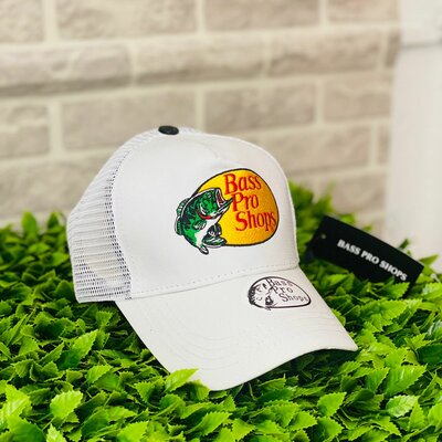 Timeline: la busqueda