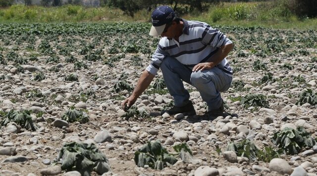 El Ministerio de Agricultura declaró emergencia agrícola para 225 comunas del país.