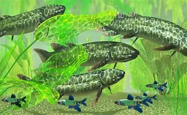 Biologia en el período Carbonífero