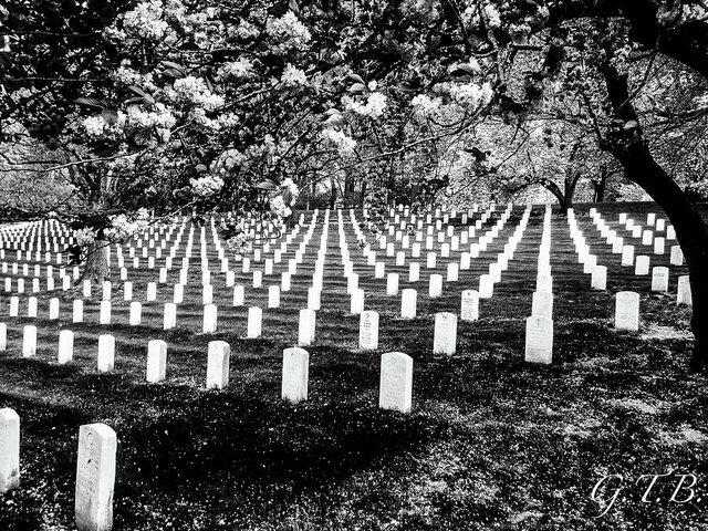 Arlington National Cemetery