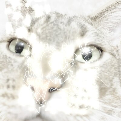 Timeline: timelinezxc