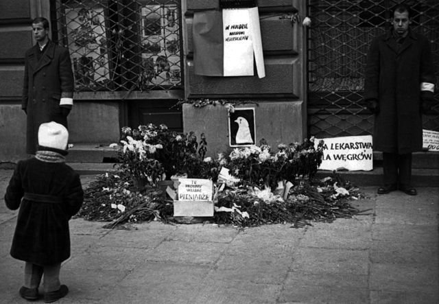 Hurgarians Flee Canada