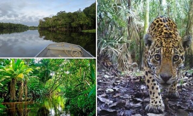 El Amazonas es un tesoro natural único.