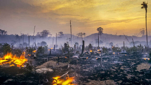 Desde 2001, 169.000 km2 de la Amazonía han sido quemados anualmente