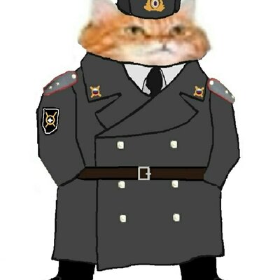 Timeline: Временная линия зхс