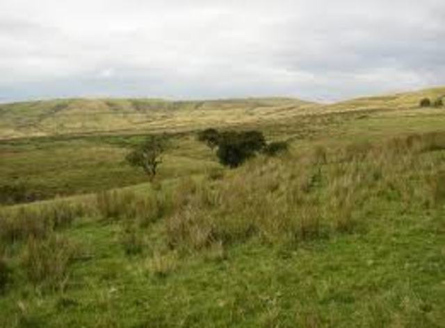 Immigration reached its lowest level