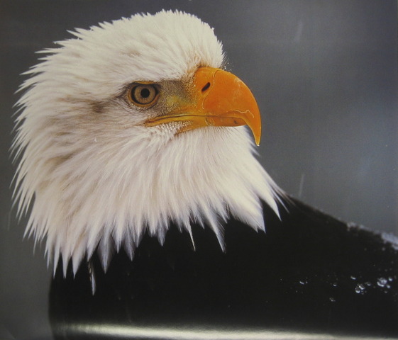 This Classes Graduation Date