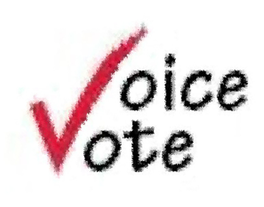 Negroes Votes Denied