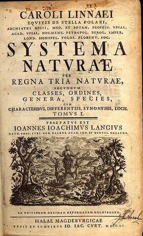 System Nature