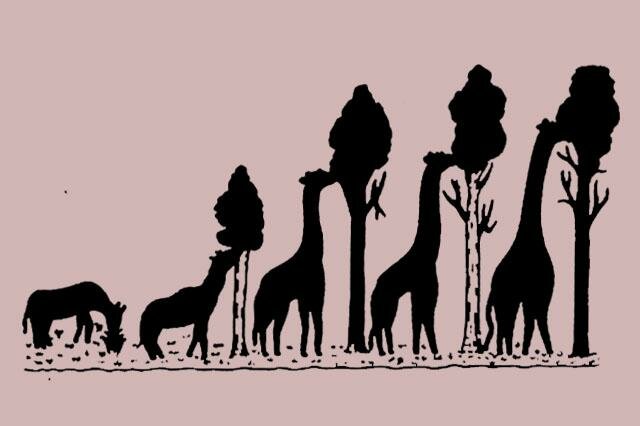 Lamarck y la teoría del transformismo