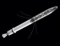 Explorer I launched