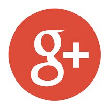 Google + 2011