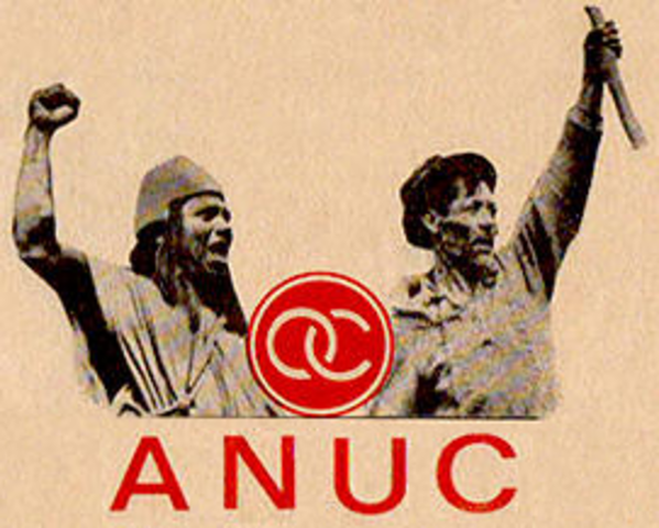 SURGIMIENTO DE ANUC