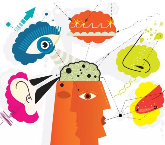 Sensación y percepción