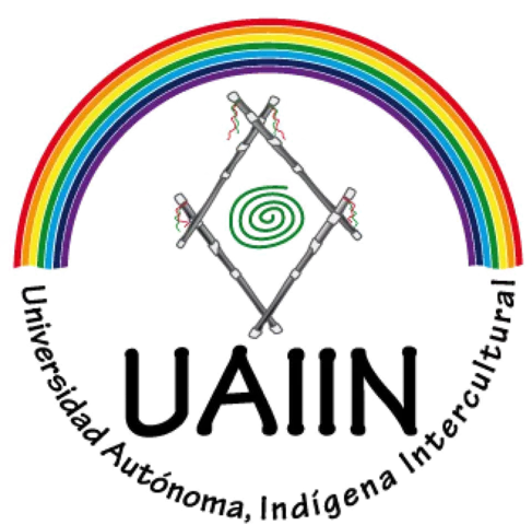 Universidad Autónoma Indígena Intercultural (UAIIN) 2003
