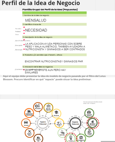PERFIL DE LA IDEA DE NEGOCIO
