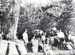 Decadencia y Fin del Modelo Agroexportador