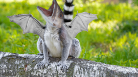 Timeline: Kommunikation tidslinje