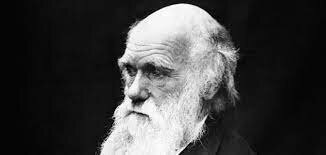 Charles Darwin's Theory Debate