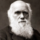 Charles darwin