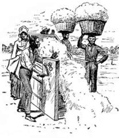 Invention of the Cotton Gin