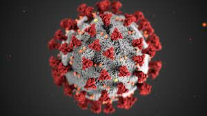 First Coronavirus case in the United States