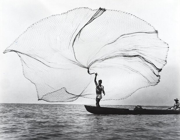 LA MASACRE DE LAS BANANERAS