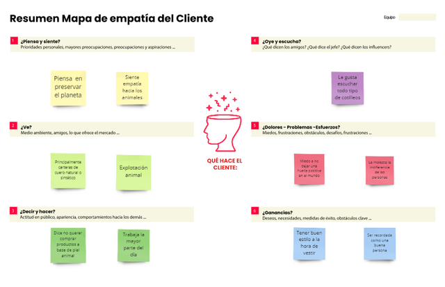 Resumen Mapa de Empatía del Cliente